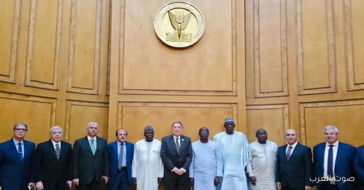 مناقشة أهمية الرقابة الدستورية في تنفيذ التوجيهات اللي بتقولها الدساتير