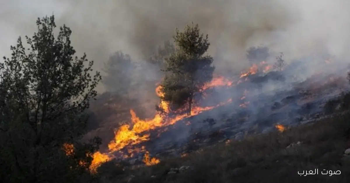 منخفض جوي يثير الفوضى في إسرائيل.. حرائق في المزارع وزحمة في الشوارع والمطارات