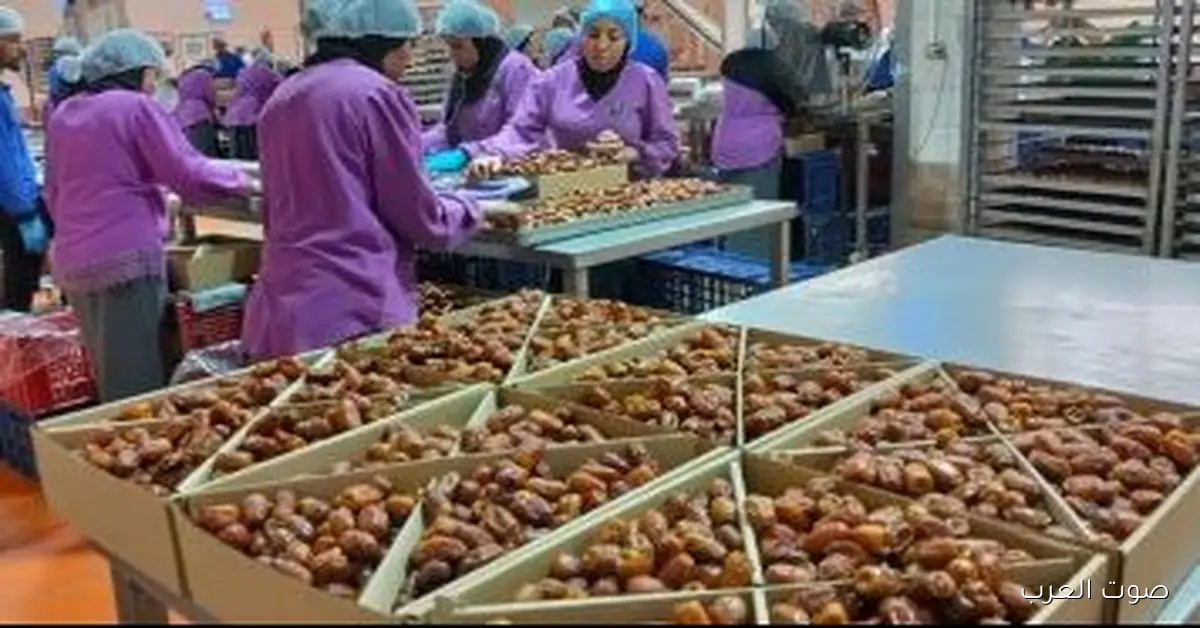 مهرجان التمور المصرية الثامن يبدأ بكرة في الواحات