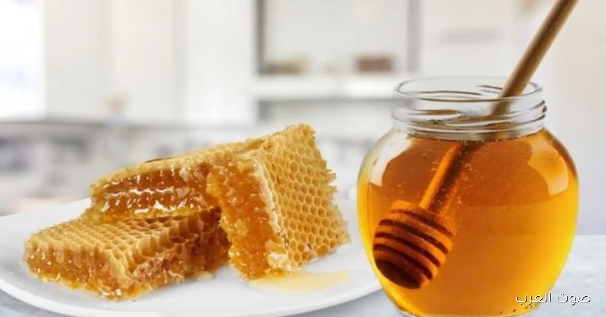 مهرجان العسل المصري يرجع في نسخته الثامنة: دعم للنحالين وفرص تصدير جديدة