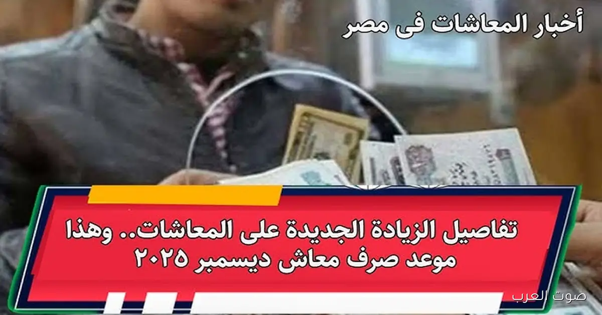 معاشك هينزل الفيزا .. موعد صرف معاشات ديسمبر 2025 ” بالزيادة الجديدة ” وطريقة الأستعلام عنة