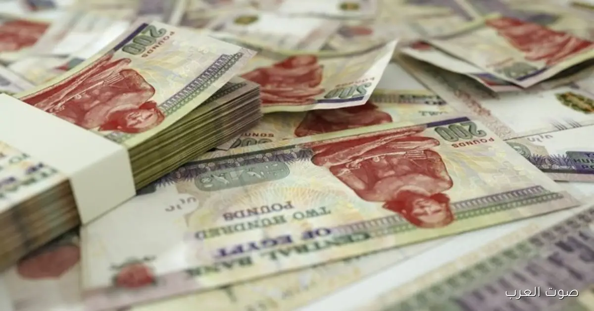 بشري سارة .. موعد صرف معاشات شهر ديسمبر 2025 وحقيقة تطبيق الزيادة الجديدة!