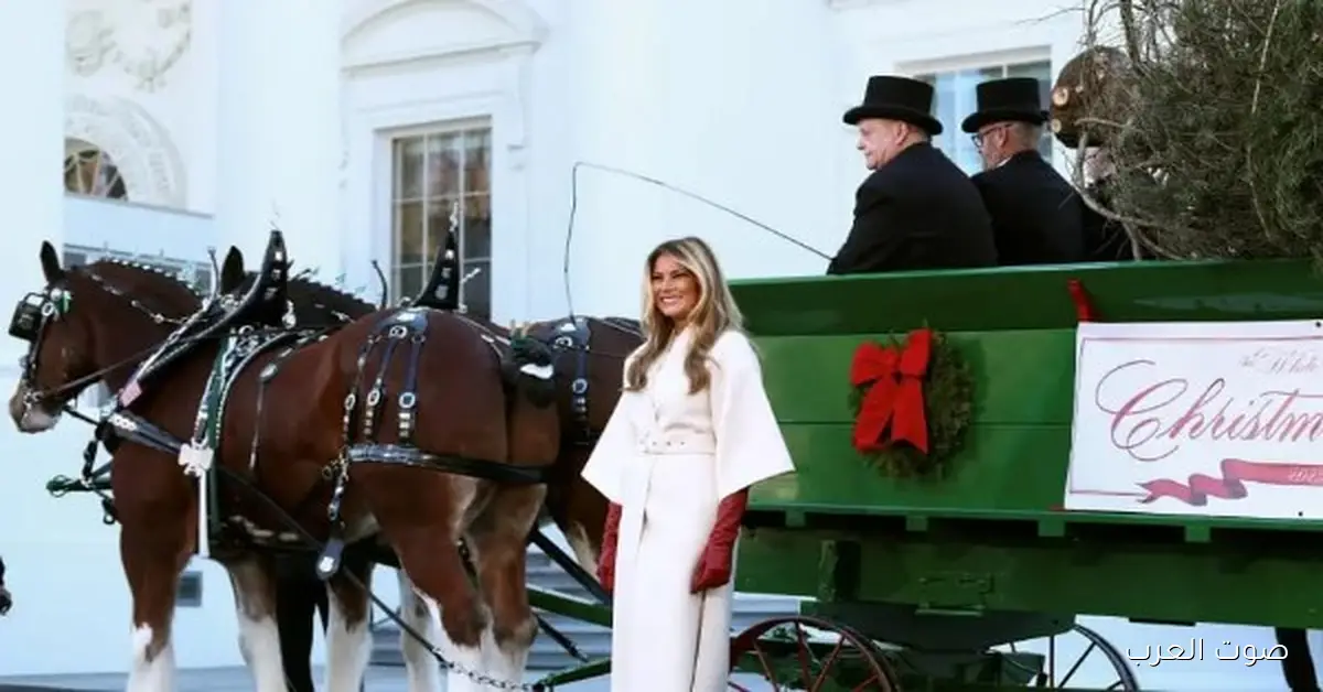 ميلانيا ترامب تستقبل شجرة عيد الميلاد بحذاء فخم من مانولو بلانيك بـ4000 دولار