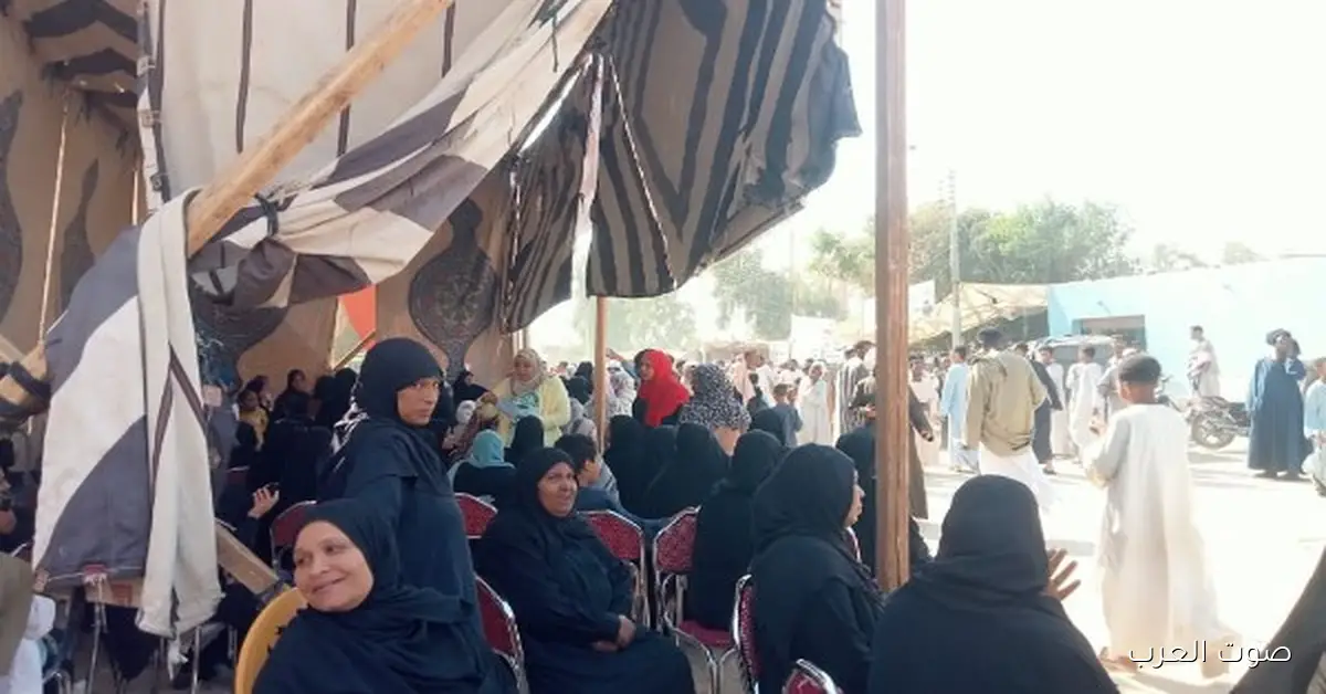 نادي مستشاري النيابة الإدارية: تابعنا انتخابات 2025 بكل نزاهة وشفافية