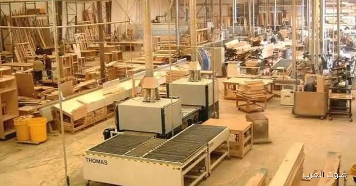 نتائج انتخابات غرفة الأخشاب: فوز بالتزكية في الفئات الكبيرة والمتوسطة ونجاح 4 مرشحين في الفئة الصغيرة