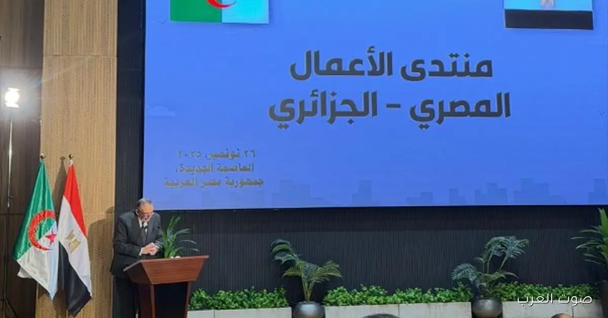 نمو التجارة 16.8% واستثمارات مصرية بـ5 مليارات دولار.. تعزيز التعاون مع الجزائر