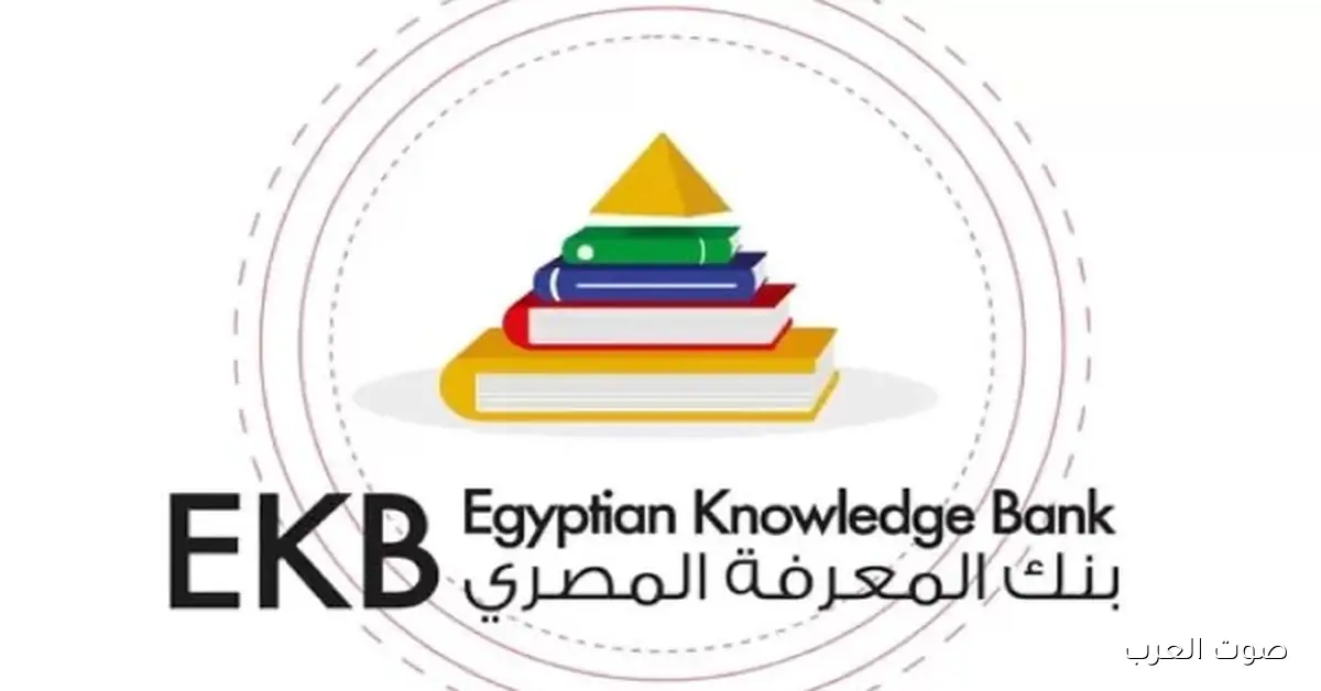 ورشة عمل في جامعة عين شمس مع بنك المعرفة المصري يوم الأحد