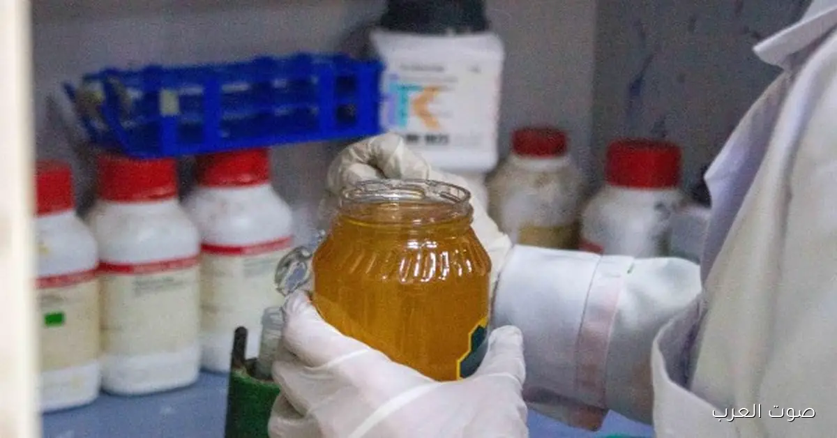 وزارة الزراعة تكشف عن غش عسل النحل من خلال برنامج تدريبي