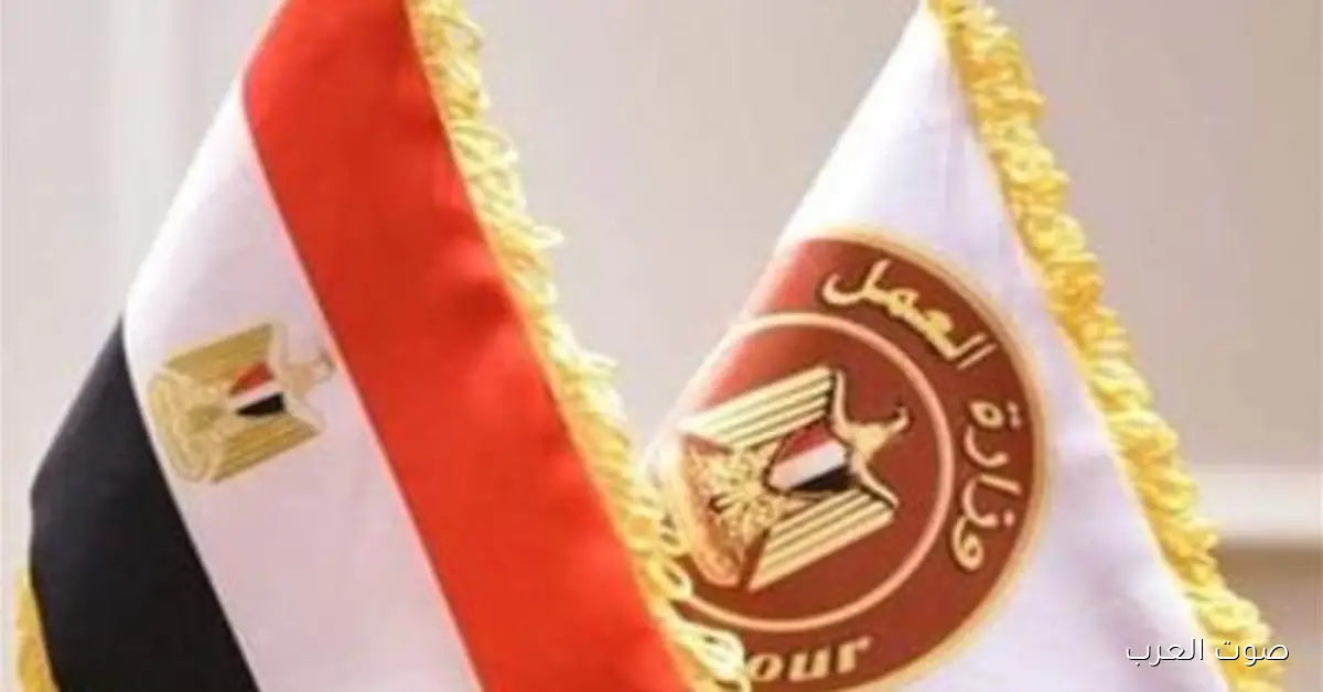 وزارة العمل بتنشر 275 وظيفة جديدة في مشروعات الطاقة.. تعرف على طريقة التقديم