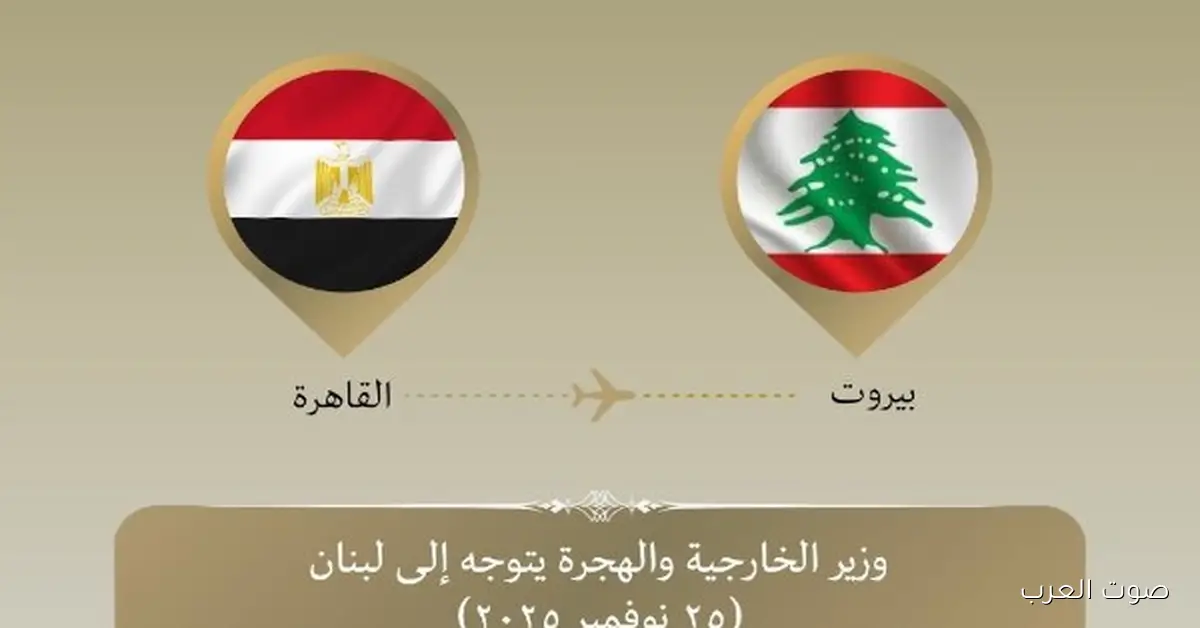 وزير الخارجية: إحنا مع لبنان في مواجهة تحدياته عشان يحافظ على أمنه واستقراره