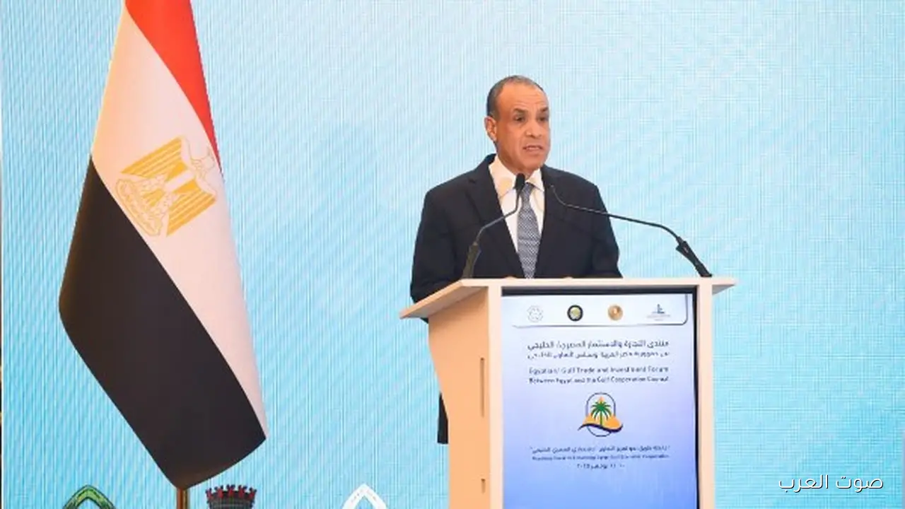 وزير الخارجية: الاستثمار في مصر فرصة كبيرة لرجال الأعمال الخليجيين في القطاعات المهمة
