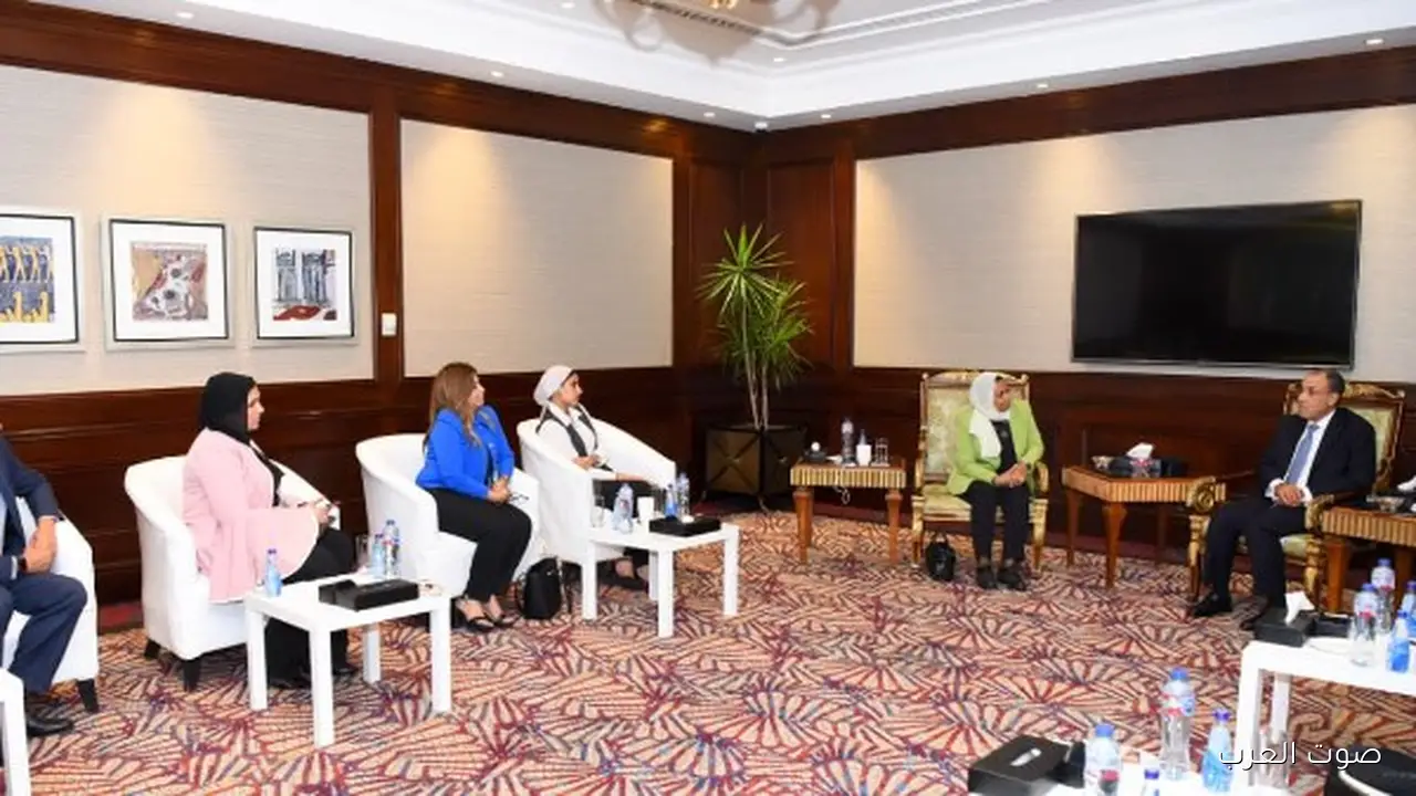 وزير الخارجية: القادة الأوروبيون شايفين إن قيادة الرئيس السيسي نقطة تحول في أمن واستقرار المنطقة