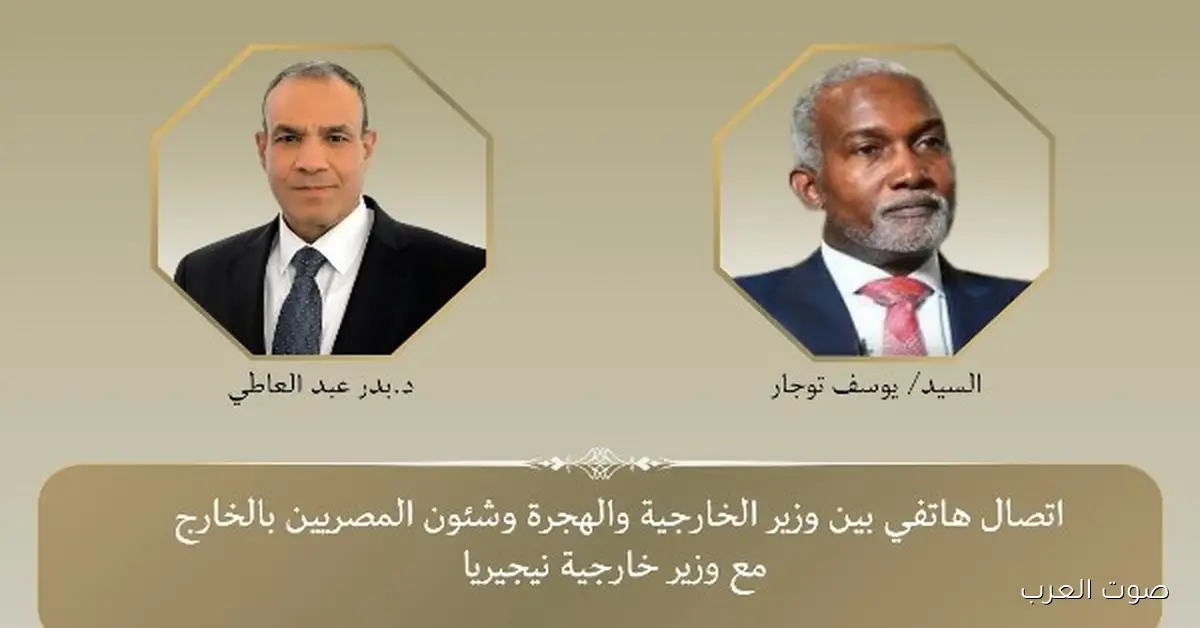 وزير الخارجية المصري ونظيره النيجيري يناقشوا سبل تعزيز التعاون والتنسيق في المنطقة