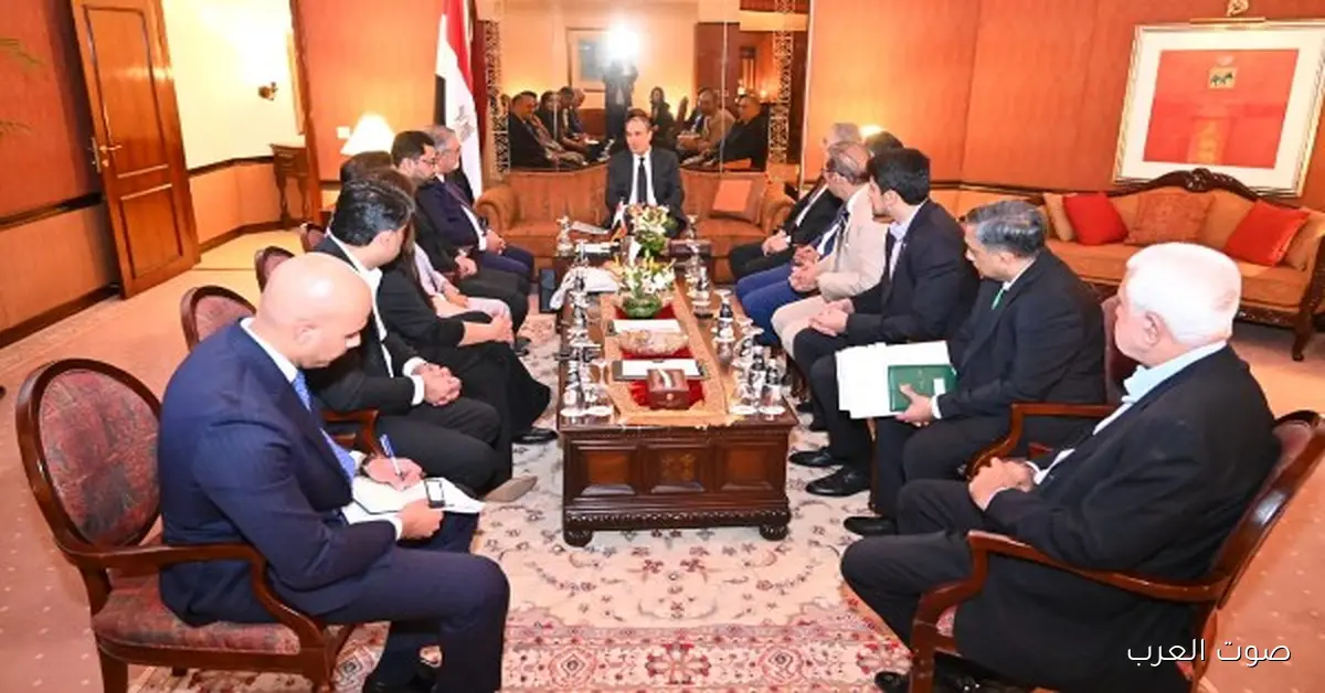 وزير الخارجية: عايزين نكمل التعاون مع باكستان في مجموعة الدول الثماني النامية D8