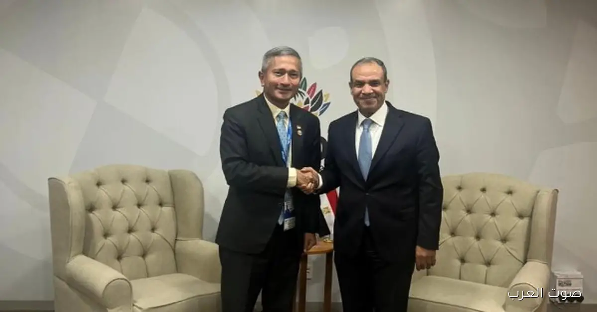 وزير الخارجية: عايزين ننضم لمجموعة العمل المالي بتاعة رابطة الآسيان