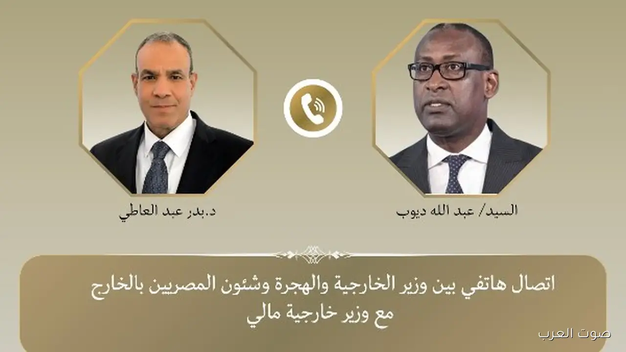 وزير الخارجية: لازم نوفر أقصى حماية للمصريين اللي عايشين في مالي