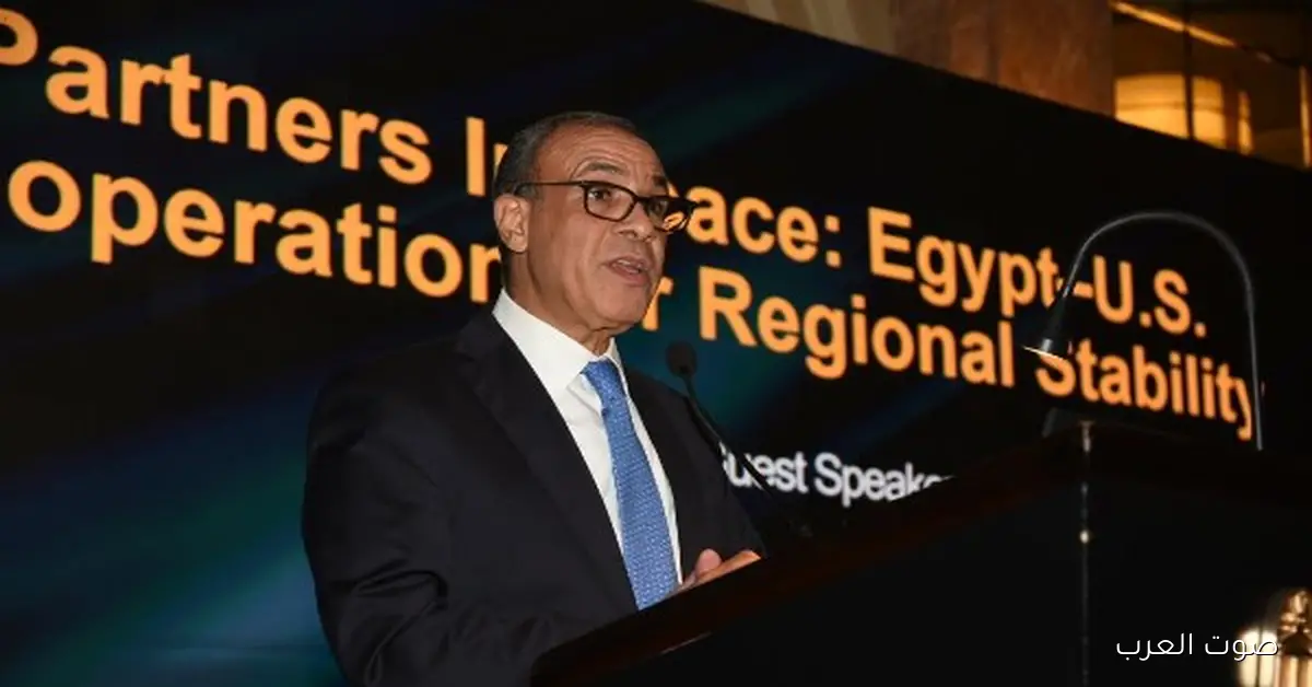 وزير الخارجية: مصر بتسعى لتعزيز التجارة مع إفريقيا وتكون مركز إقليمي للطاقة