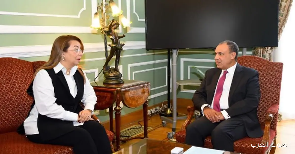 وزير الخارجية: مصر عايزة تستضيف مركز تدريبي للدول الإفريقية لمكافحة الجريمة الإلكترونية