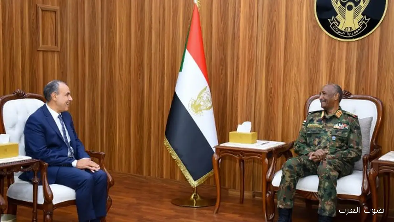 وزير الخارجية: مصر واقفة مع السودان ودعمه في استقراره وأمنه