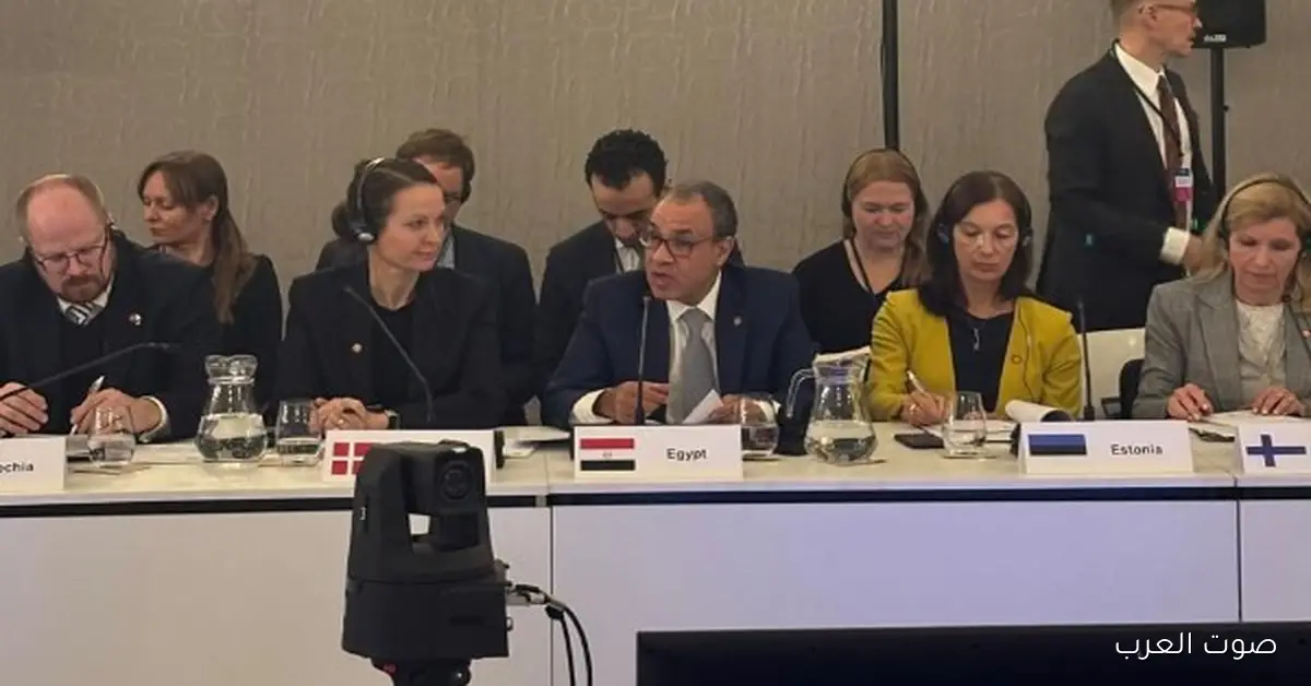 وزير الخارجية: ميثاق المتوسط يقوي التعاون والشراكة ويفتح فرص اقتصادية جديدة