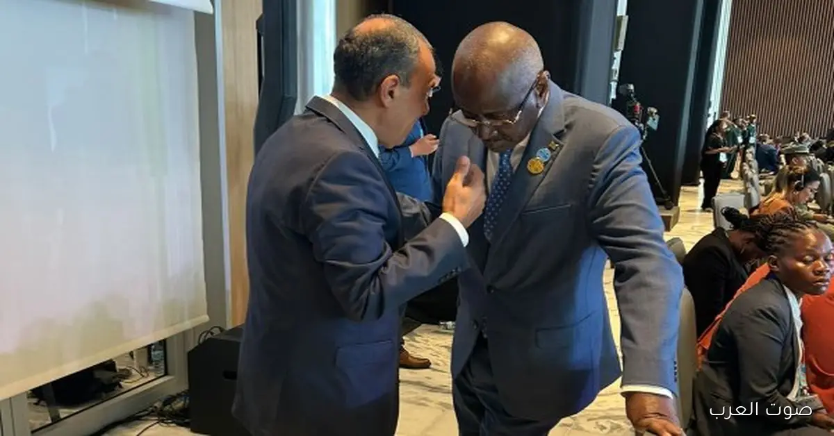 وزير الخارجية يتباحث مع نظيره الموريتاني عن فرص زيادة الاستثمارات والتجارة