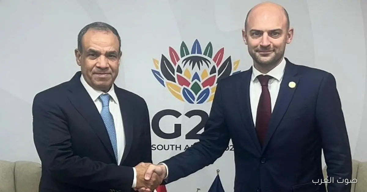 وزير الخارجية يشجع الشركات السنغافورية على زيادة استثماراتها في مصر