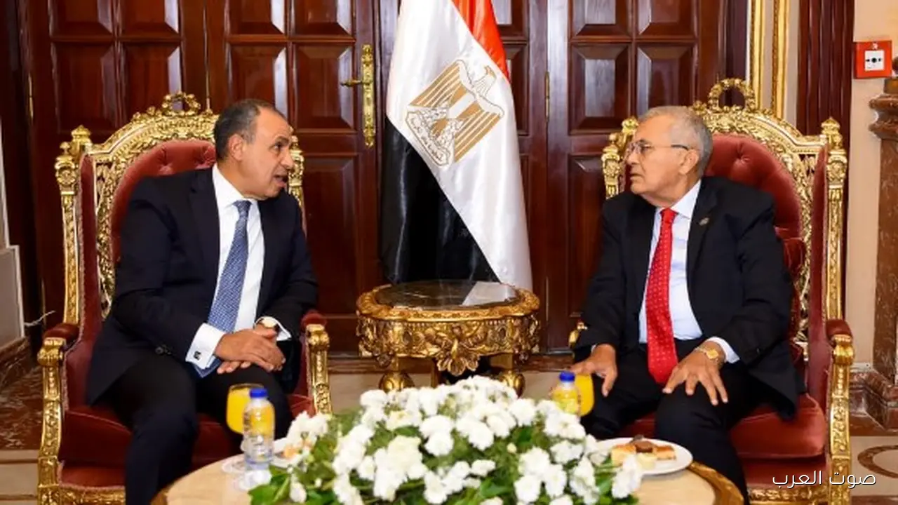 وزير الخارجية يقابل رئيس مجلس الشيوخ ويقول: الدبلوماسية البرلمانية بتساعد في دعم مصالح المصريين بره