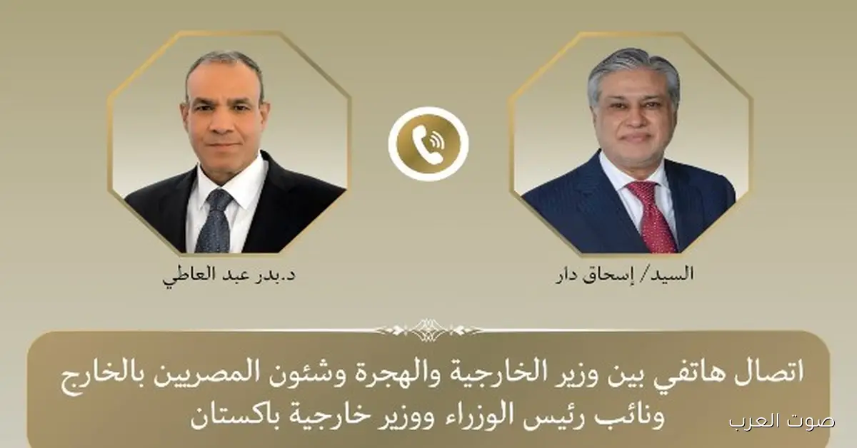 وزير خارجية مصر وباكستان: لازم قرار دولي ينهي الحرب في غزة