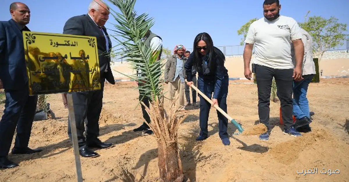 وزيرة التضامن تزرع نخلة في حديقة 30 يونيو بالوادي الجديد