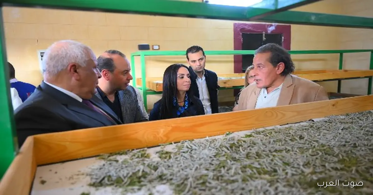 وزيرة التضامن تزور مصنع إنتاج الحرير في الوادي الجديد