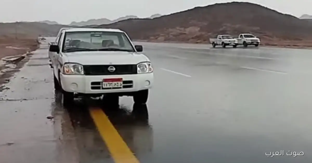 حالة الطقس النهاردة.. الأرصاد بتحذر من شبورة شديدة وأمطار في المناطق دي