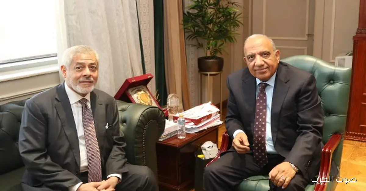 وزير الكهرباء يناقش مع شركة إماراتية تعزيز التعاون في الطاقة المتجددة