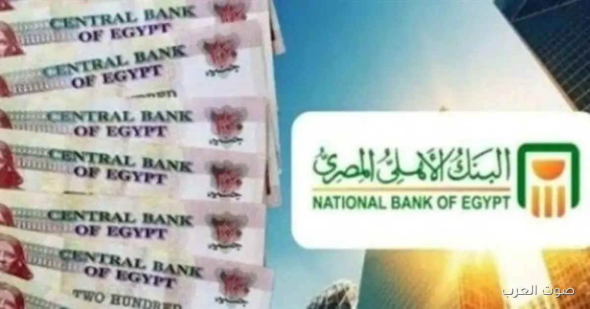 أعلى عائد شهري وربع سنوي في البنك الأهلي.. استثمر فلوسك بأمان