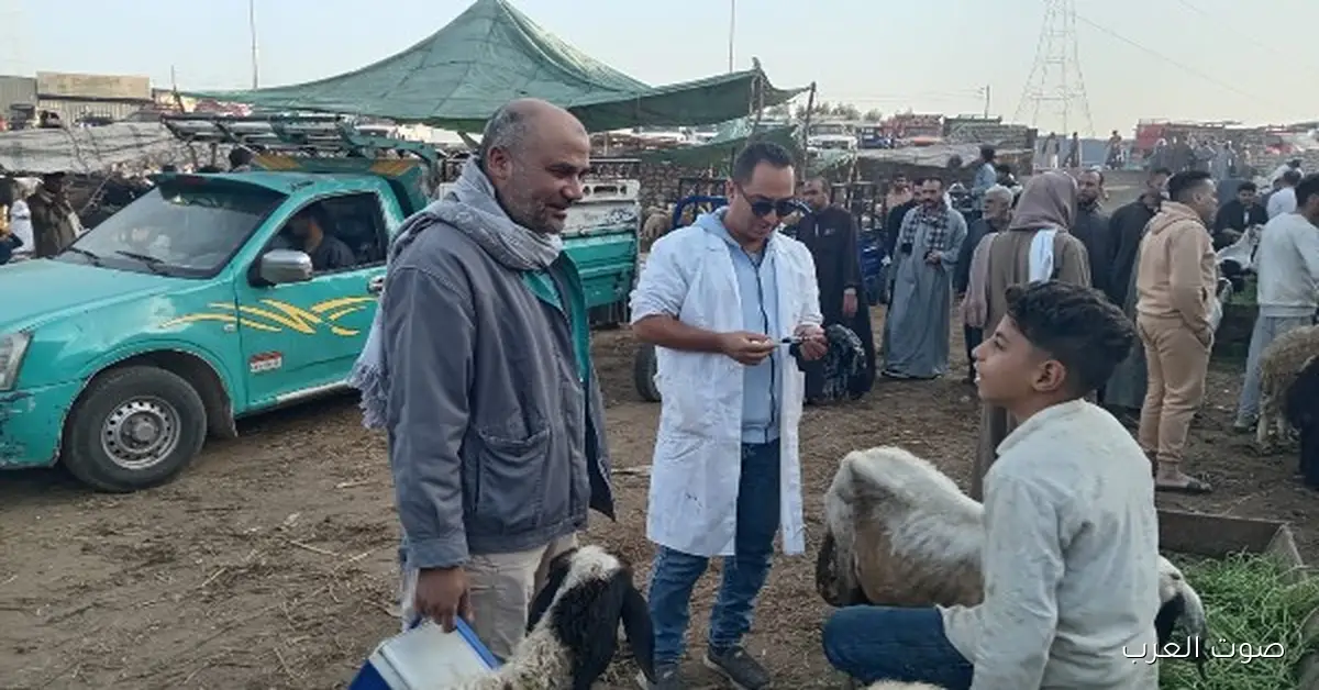 تحصين 8.1 مليون رأس ماشية ضد الأمراض الوبائية في مصر