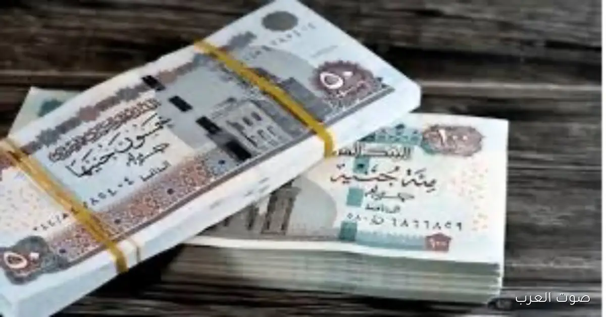 معاش تكافل وكرامة 2025: إزاي تستعلم عن الصرف والشروط والمواعيد