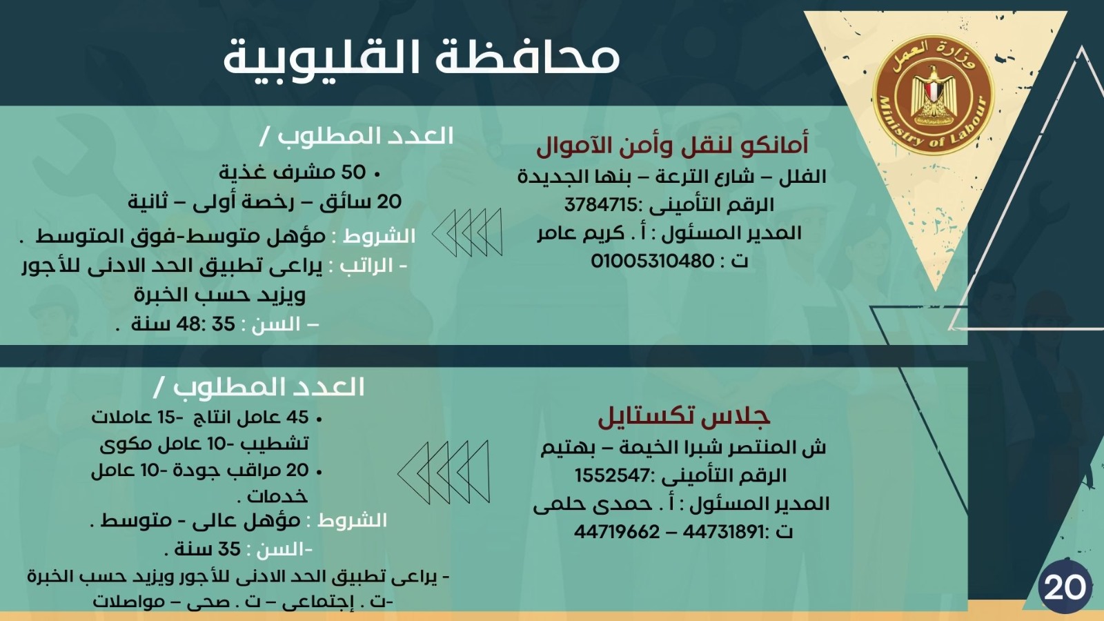 5843 وظيفة جديدة في 10 محافظات 19 1765024023 163 5843 وظيفة جديدة في 10 محافظات