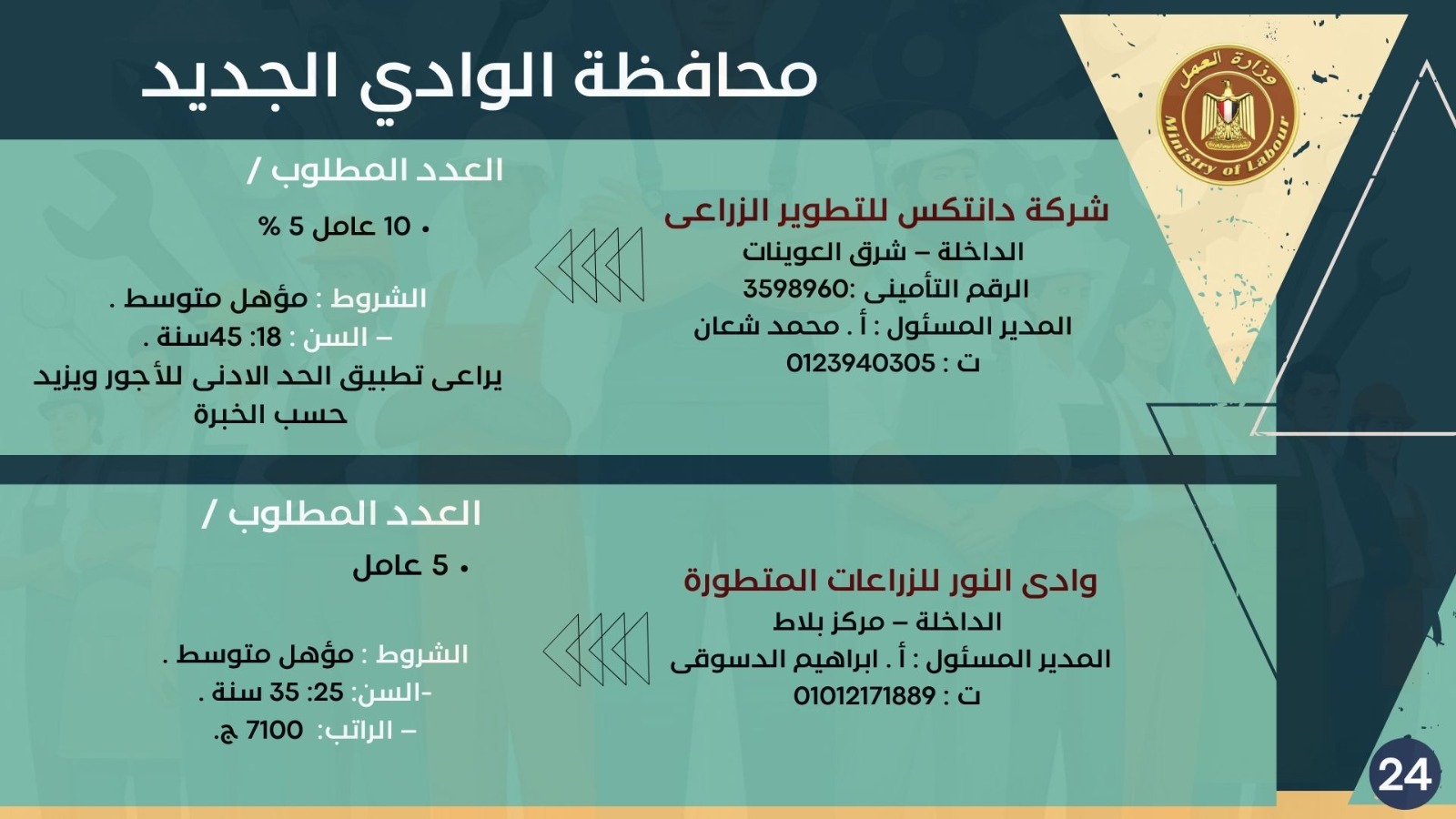 5843 وظيفة جديدة في 10 محافظات 24 1765024024 246 5843 وظيفة جديدة في 10 محافظات