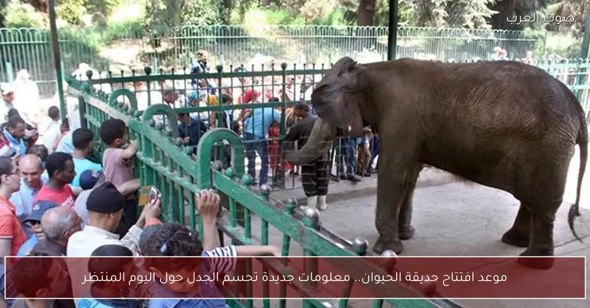 موعد افتتاح حديقة الحيوان.. معلومات جديدة تحسم الجدل حول اليوم المنتظر