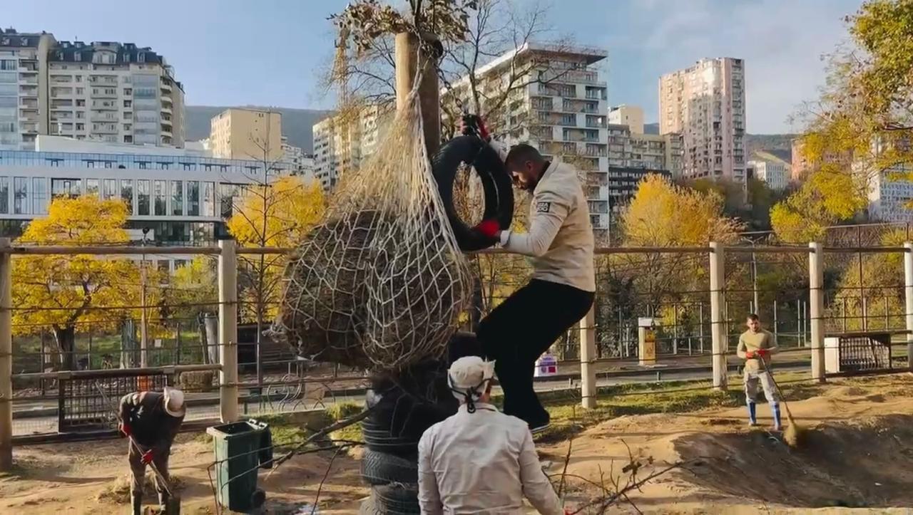 قريبًا في حديقة الحيوان: شغلة تدريب الموظفين على التعامل مع الأفيال في جورجيا 3 تجهيز بيوت الأفيال في حديقة الحيوان