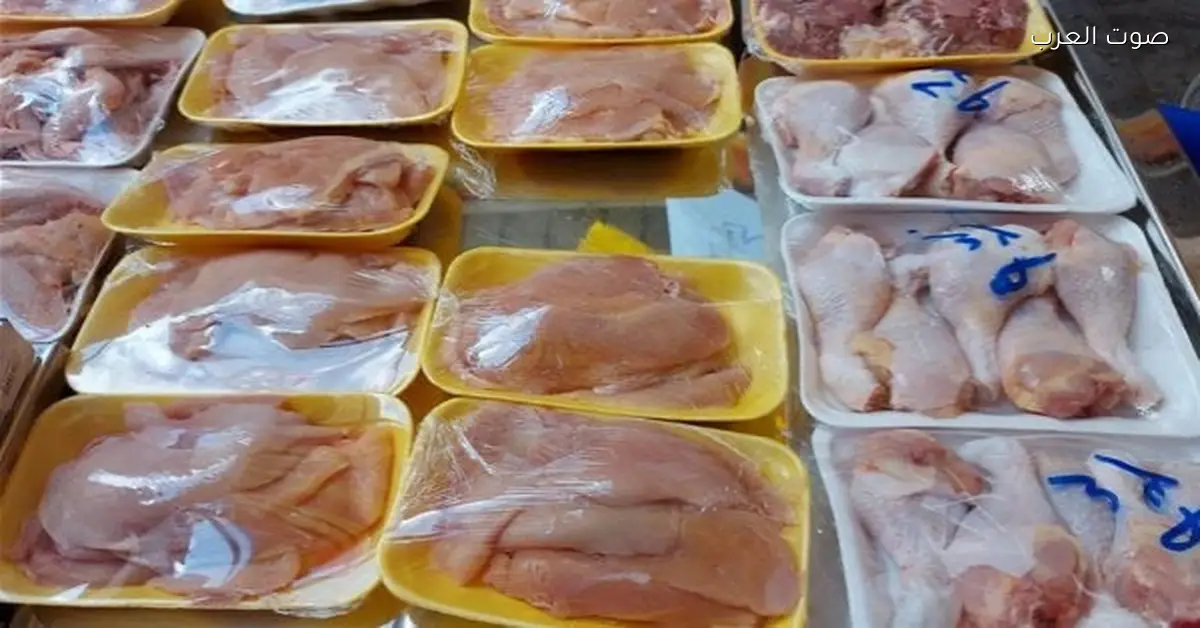 أسعار الفراخ النهاردة الاثنين.. كيلو البانيه بكم؟