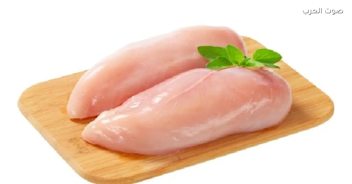 أسعار الفراخ النهاردة الخميس 11-12-2025: كيلو البانيه بـ 180 جنيه