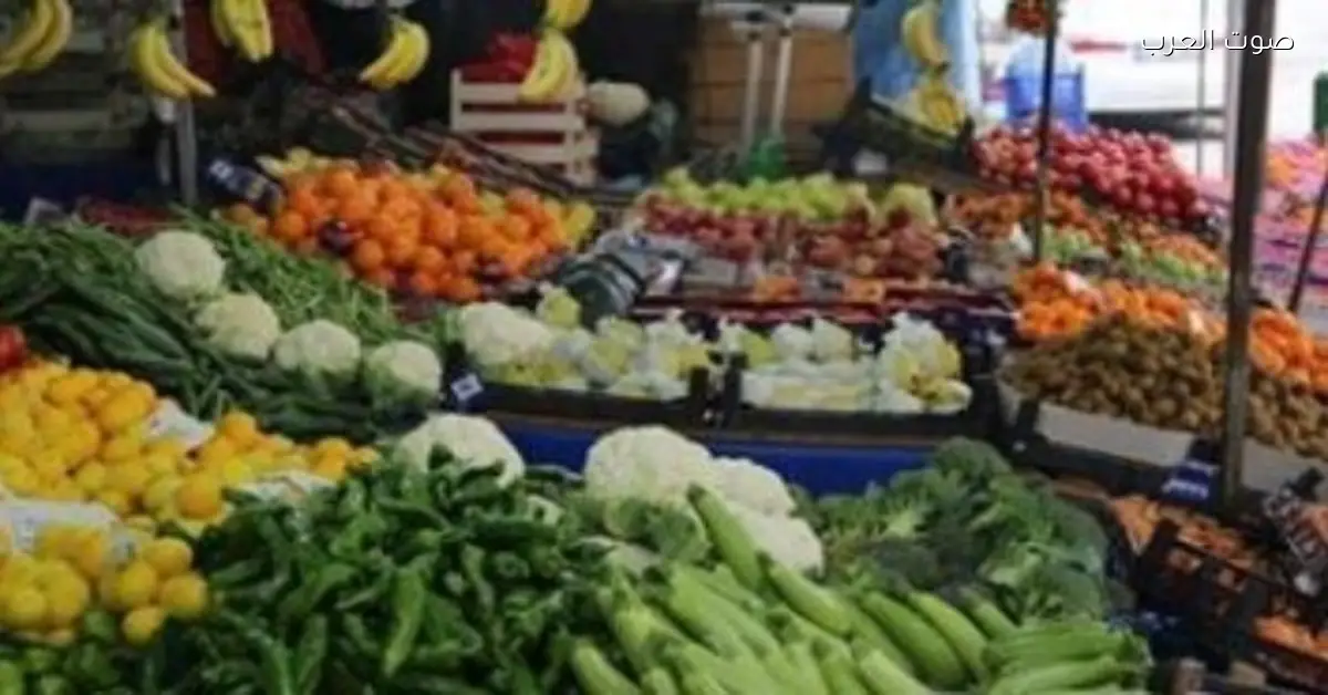 استقرار أسعار الخضروات والفاكهة في سوق العبور اليوم