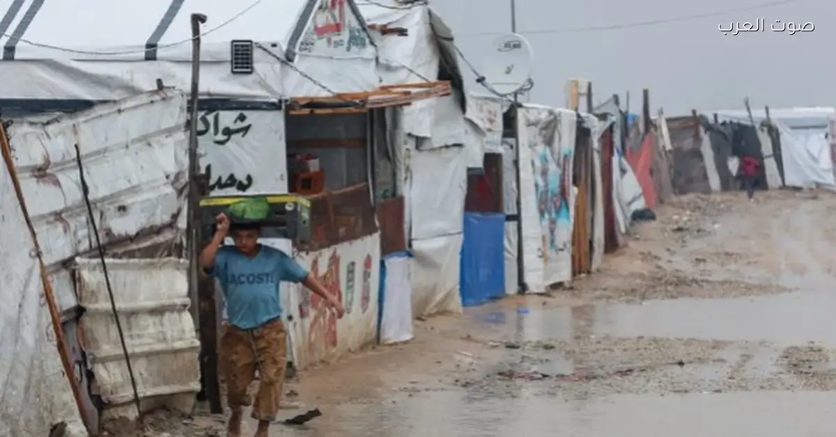 14 شهيد في 24 ساعة.. العاصفة في غزة بتحول مخيمات النازحين لمقابر مفتوحة