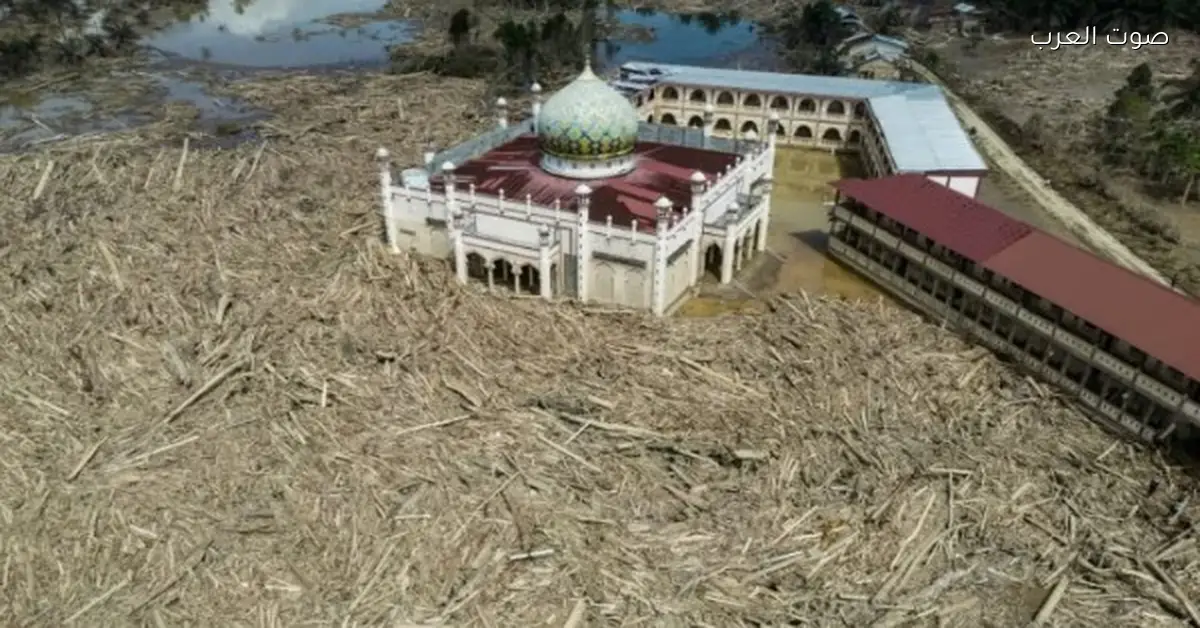 كارثة في سومطرة بإندونيسيا.. آلاف الأشجار تسيطر على مسجد وتمنع المصلين من دخوله