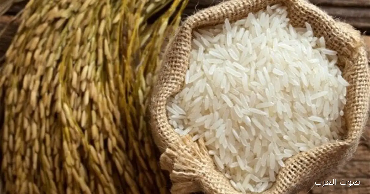 أسعار الأرز الشعير اليوم الاثنين 1 ديسمبر 2025 في الأسواق المحلية والمحلات التجارية للمستهلكين
