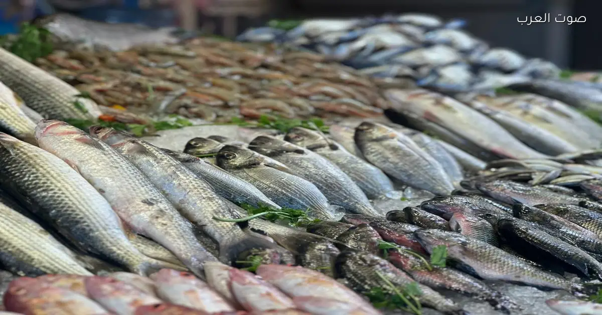 أسعار الأسماك والمأكولات البحرية في السوق اليوم السبت 13 ديسمبر 2025