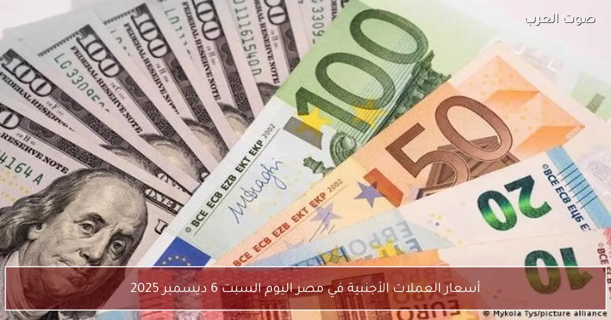 أسعار العملات الأجنبية في مصر اليوم السبت 6 ديسمبر 2025