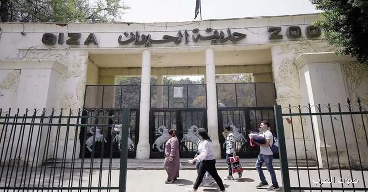 أكبر تطوير في تاريخ حديقة الحيوان.. هتتحول لوجهة عالمية