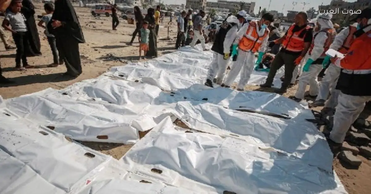 أمم المتحدة تكشف: أطفال غزة بيعانوا من سوء تغذية شديد