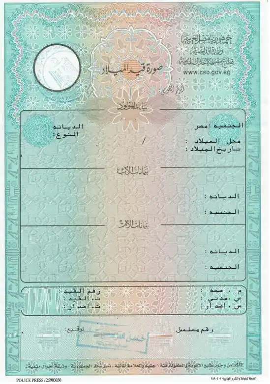 إزاي تطلع شهادة الميلاد المميكنة 2025 في دقائق 2 إزاي تطلع شهادة الميلاد المميكنة 2025 في دقائق